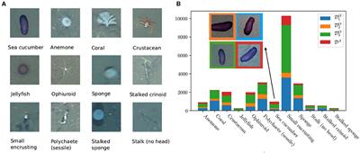 Gear-Induced Concept Drift in Marine Images and Its Effect on Deep Learning Classification